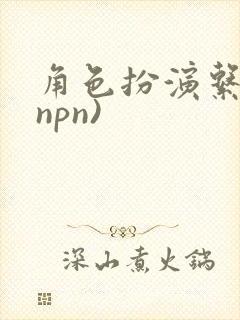 角色扮演系统(npn)