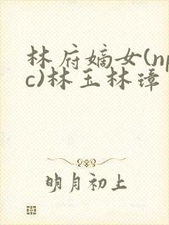 林府嫡女(npc)林玉林璋