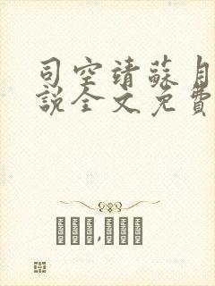 司空靖苏月汐小说全文免费阅读