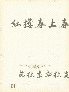 红楼春上春封面