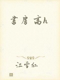 书房 高h