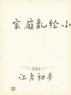 家庭乱纶小说封面