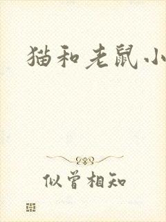 猫和老鼠小说封面