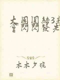 大团圆结3亲情会闪闪发光