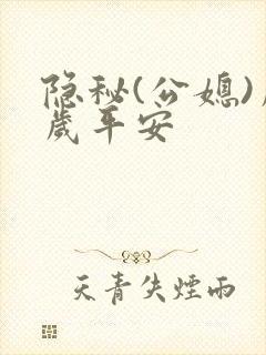 隐秘(公媳)岁岁平安封面