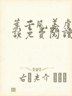 叶子风姜虞雪小说免费阅读