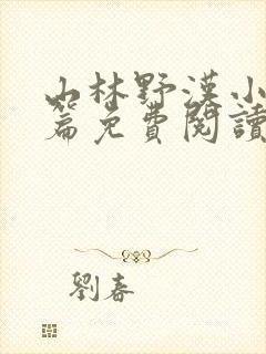 山林野汉小说全篇免费阅读封面