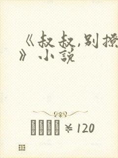 《叔叔,别撩我》小说