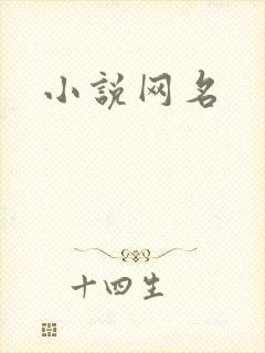 小说网名