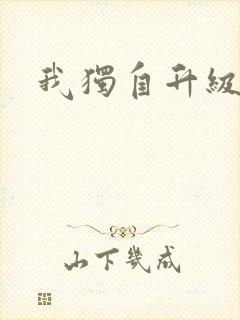 我独自升级封面