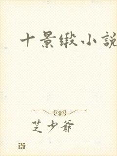 十景缎小说封面