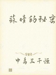 苏晴的秘密小说封面