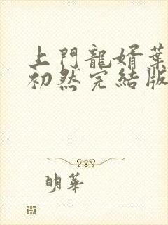 上门龙婿叶辰萧初然完结版txt免费下载封面