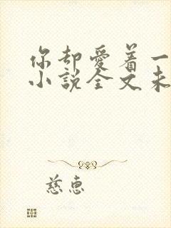 你却爱着一个他小说全文未删减免费封面