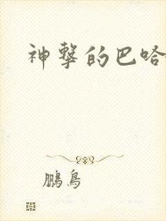 神击的巴哈姆特封面