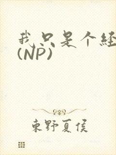 我只是个经纪人(NP)