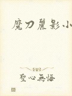 魔刀丽影小说封面