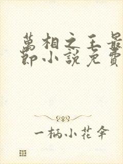 万相之王最新章节小说免费阅读封面