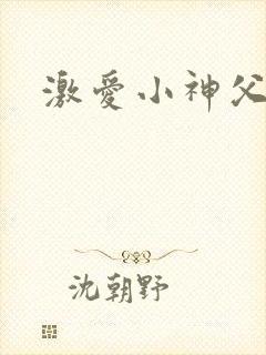 激爱小神父