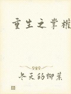 重生之掌权天下封面