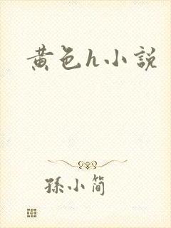 黄色h小说