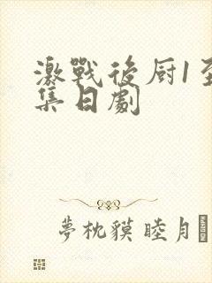 激战后厨1至5集日剧