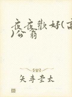 夜夜欢好(高h)公翁