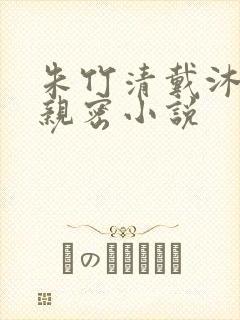 朱竹清戴沐白的亲密小说