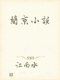 兰京小说封面