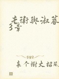 老卫与淑蓉第13章