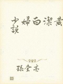 少妇白洁黄色小说