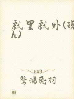 戏里戏外(现场h)