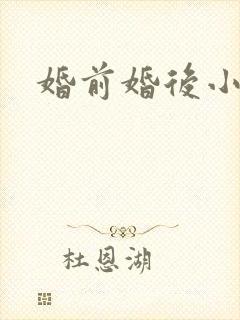 婚前婚后小说