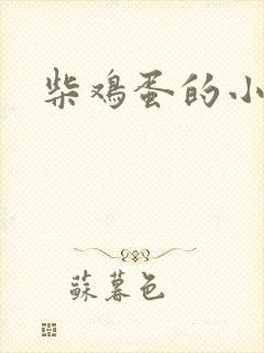 柴鸡蛋的小说