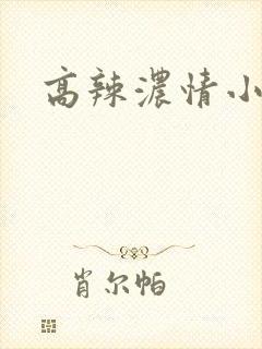 高辣浓情小说
