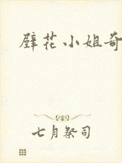 壁花小姐奇遇记封面