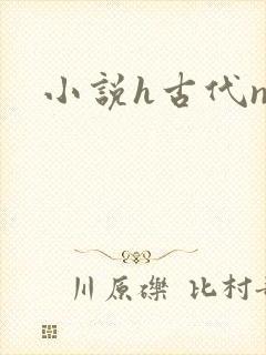 小说h古代np