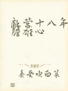 敌营十八年2虎胆雄心封面