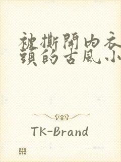 被撕开内衣吸奶头的古风小说