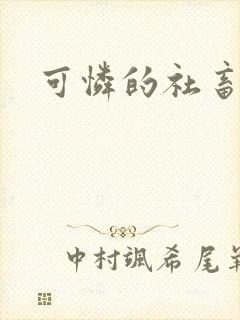 可怜的社畜小说