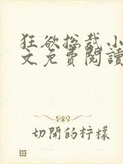 狂欲总裁小说全文免费阅读