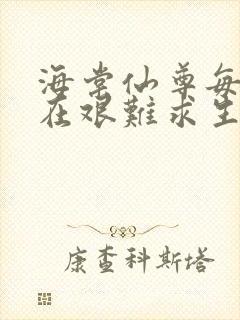 海棠仙尊每天都在艰难求生