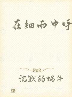 在细雨中呼喊