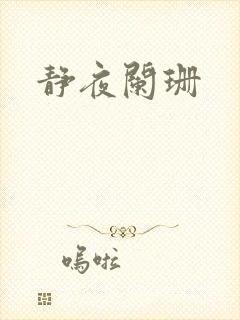 静夜阑珊封面