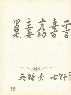 男主有妻子女主是妾的古言