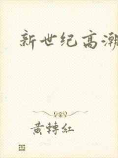 新世纪高潮战队