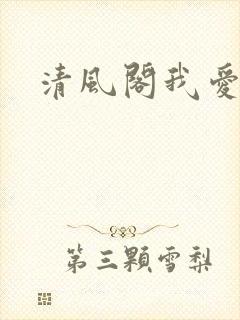 清风阁我爱千封面