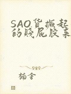 SAO货撅起你的贱屁股来