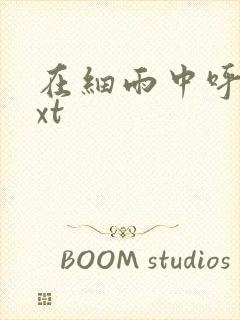 在细雨中呼喊txt