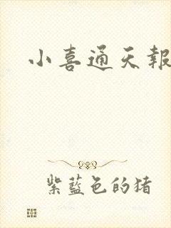 小喜通天报
